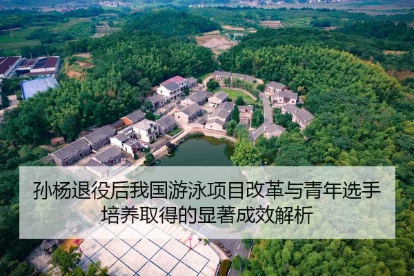 孙杨退役后我国游泳项目改革与青年选手培养取得的显著成效解析 - DAFA SPORTS